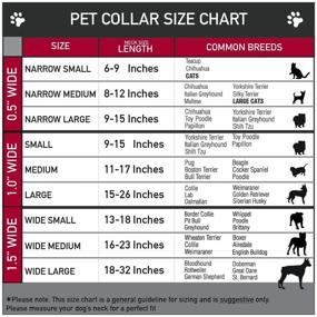 img 1 attached to 🐶 Buckle-Down Dog Collar with Ariel Flounder Fish Trio Poses: Pink, Adjustable Sizes for Small, Medium, and Large Dogs!