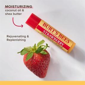 img 2 attached to 🎁 Burt's Bees Lip Balm Stocking Stuffer: 100% Natural Moisturizing Lip Care in Original Beeswax and Delicious Fruit Flavors - Holiday Gift Pack (4 Pack)