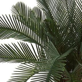 img 2 attached to 🌿 UV Resistant 2-Foot Cycas Tree, Green - Nearly Natural Artificial Plant for Indoor/Outdoor Use