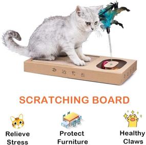 img 1 attached to 🐱 Dono Pet Cat Scratch Pad- Multifunction Cat Scratcher Cardboard with Spring Feather Teaser: Interactive Kitty Playtime with Turntable Scratching Pad & Catnip Included