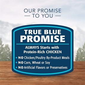 img 1 attached to 🐱 Blue Buffalo Wilderness High Protein Grain Free Wet Cat Food, 3-oz Pouches (Pack of 24) – Natural Wild Cuts for Adult Cats