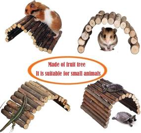 img 1 attached to 🐹 Natural Wood Hamster Bridge & Rat Ladder Toy: Perfect Hideout for Small Animals - Guinea Pigs, Chinchillas, Ferrets, Reptiles, and More!