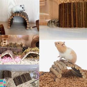 img 3 attached to 🐹 Natural Wood Hamster Bridge & Rat Ladder Toy: Perfect Hideout for Small Animals - Guinea Pigs, Chinchillas, Ferrets, Reptiles, and More!