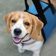 canine lift harness: supportive aid for dogs with weak hind legs, injuries, arthritis, and joint problems - assist sling for mobility, rehabilitation, and lifting older small/medium/large breed k9s - with handle logo