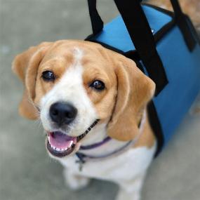 img 4 attached to Canine Lift Harness: Supportive Aid for Dogs with Weak Hind Legs, Injuries, Arthritis, and Joint Problems - Assist Sling for Mobility, Rehabilitation, and Lifting Older Small/Medium/Large Breed K9s - With Handle