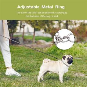 img 1 attached to 🐶 SIVEIS Stainless Steel Dog Training Choke Collar: Adjustable, Strong, Chew Proof Chain Slip Collar for Small Medium Large Dogs