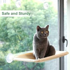 img 1 attached to 🐱 Window Perch Bed Seat for Cats - Indoor Cat Supplies - Window Hammock, Kitty Bed Stuff, Hanging Pet Window Shelf Furniture - Heavy Duty, Safe Kitten Bed - Suitable for Large and Small Cats - Holds Up to 30 lbs