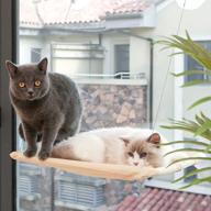 🐱 window perch bed seat for cats - indoor cat supplies - window hammock, kitty bed stuff, hanging pet window shelf furniture - heavy duty, safe kitten bed - suitable for large and small cats - holds up to 30 lbs logo