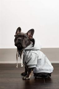 img 1 attached to Light Grey Zip Up Adventure Dog Hoodie by Ellie Dog Wear - Hook &amp; Loop Pockets, Adjustable Drawstring Hood - Sizes XS to XL - Comfortable &amp; Versatile Stylish Dog Hoodies