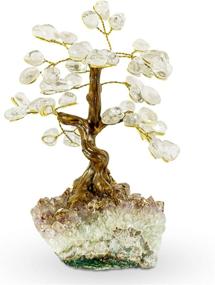 img 4 attached to 🌳 Luma Gems Amethyst Crystal Tree - Healing Chakra Tree of Life - Energy & Feng Shui Amethyst Tree - Crystal Decoration - Sourced from Local Quality Control Team - 6" Height, 1.2 lbs Weight