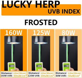 img 1 attached to 🦎 LUCKY HERP UVA UVB Mercury Vapor Bulb- High Intensity Self-Ballasted Heat Basking Lamp for Reptiles and Amphibians