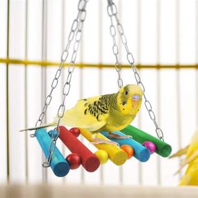 img 1 attached to WBYJ 17 Pack Handmade Bird Cage Toys with Bells, Parrots Swing Hanging Chewing Toys, Ideal for Love Birds, Finches, Parakeets, Cockatiels, Conures, Small Macaws - (A)