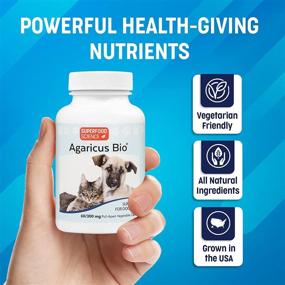 img 3 attached to Atlas World Agaricus Supplement Vegetable