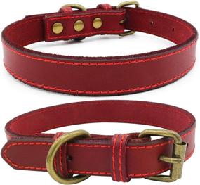 img 3 attached to 🐶 Genuine Leather Dog Collar: Stylish Red XXS for Small, Medium, and Large Puppies