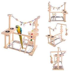 img 4 attached to 🦜 QBLEEV Parrot Playstand Bird Play Stand Cockatiel Playground Wood Perch Gym Playpen Ladder with Feeder Cups Toys Exercise Play (Includes Tray)