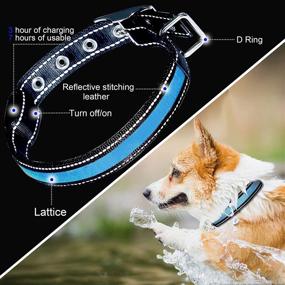 img 1 attached to 🐶 Super Bright LED Dog Collar: Water Resistant, Reflective, USB Rechargeable, 3 Light Modes, 10 Hours Working Time! Ideal for Small, Medium or Large Dogs