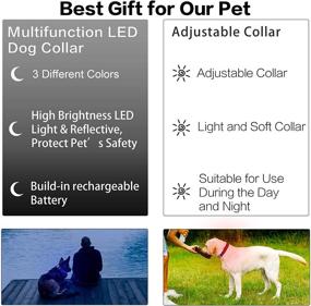 img 2 attached to 🐶 Super Bright LED Dog Collar: Water Resistant, Reflective, USB Rechargeable, 3 Light Modes, 10 Hours Working Time! Ideal for Small, Medium or Large Dogs