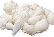 🐚 premium 1 pound mix of white seashells - versatile home decor, vase filler, wedding centerpiece, craft, candle making - tumbler home's sea shell mix logo