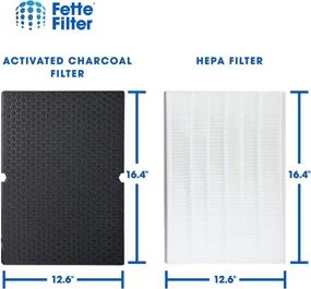 img 1 attached to Fette Filter - Premium True HEPA Replacement Filter for Winix Air Purifiers Model # 5500-2 & AM80 - 2 HEPA Filters + 2 Carbon Filters