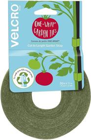 img 4 attached to 🌱 VELCRO Brand ONE-WRAP Garden Ties: Strong, Reusable & Adjustable Plant Supports for Effective Growing – 50 ft x 1/2 in, Green"