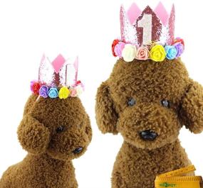 img 2 attached to 👑 Wiz BBQT 2 Pcs Adorable Crown Shaped Cat Dog Pet 1 Year Birthday Headband and Pink Star Hair Accessories for Dogs Cats Pets