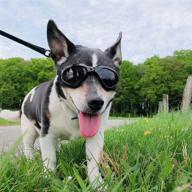 🐶 pedomus uv dog goggles with adjustable strap for waterproof dog sunglasses and protection логотип