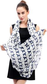 img 1 attached to 🧣 Lina Lily Labrador Lightweight Women's Accessories for Scarves and Wraps - Infinity Collection