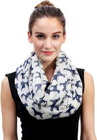 img 4 attached to 🧣 Lina Lily Labrador Lightweight Women's Accessories for Scarves and Wraps - Infinity Collection