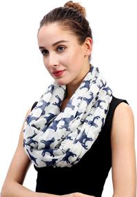 img 3 attached to 🧣 Lina Lily Labrador Lightweight Women's Accessories for Scarves and Wraps - Infinity Collection