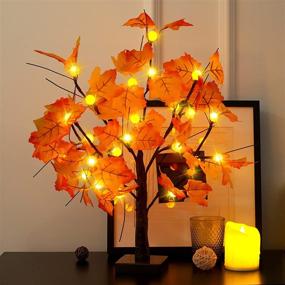 img 3 attached to Autumn Harvest Decor: Fall Lighted Maple Tree with 24 LED Pumpkin Lights – Perfect for Halloween and Thanksgiving! Battery Operated Indoor and Outdoor Table Tree for Home, Wedding, Party, and Gifts