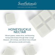 scentsationals scented wax cubes - honeysuckle nectar - 🍯 fragrance wax melts: 2.5 oz (4-pack) for wickless candle warmers логотип