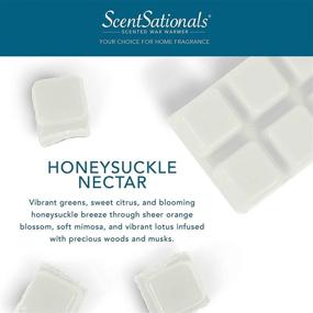 img 4 attached to Scentsationals Scented Wax Cubes - Honeysuckle Nectar - 🍯 Fragrance Wax Melts: 2.5 oz (4-Pack) for Wickless Candle Warmers