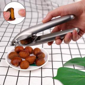 img 3 attached to Anwenk Nutcracker: Premium Stainless Steel Chestnut Clip Peeler with Picks - Efficient Kitchen Tool for Pecan, Walnut & More