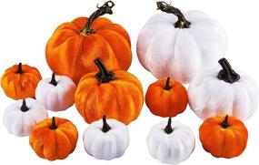 img 4 attached to 🎃 Eye-Catching 12 Pcs Artificial Velvet Pumpkins: White and Orange Decorative Fake Pumpkins for Vibrant Halloween, Autumn, and Thanksgiving Décor - Ideal for Indoor and Outdoor Settings