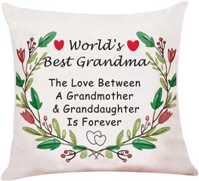 img 2 attached to 👵 Chillake Best Grandma Pillow Covers - 18x18 Inches - Perfect Gift for Grandma - Sofa Couch Living Room Decor