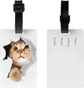 img 1 attached to Cat Luggage Tag For Travel Suitcase With Name ID Card Tags Gift Carry On Women Men Kid Bag Set Of 2