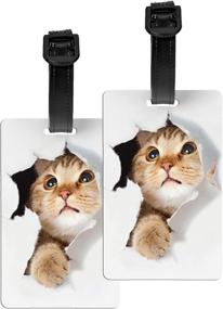 img 4 attached to Cat Luggage Tag For Travel Suitcase With Name ID Card Tags Gift Carry On Women Men Kid Bag Set Of 2