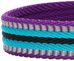 img 1 attached to 🐾 Blueberry Pet 10+ Colors: Enhance Safety and Comfort with Multi-Colored Stripe Dog Collars, Offering Reflective 3M Options