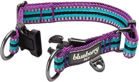 img 2 attached to 🐾 Blueberry Pet 10+ Colors: Enhance Safety and Comfort with Multi-Colored Stripe Dog Collars, Offering Reflective 3M Options