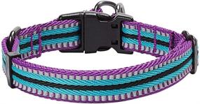 img 3 attached to 🐾 Blueberry Pet 10+ Colors: Enhance Safety and Comfort with Multi-Colored Stripe Dog Collars, Offering Reflective 3M Options