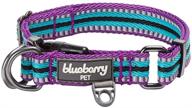 🐾 blueberry pet 10+ colors: enhance safety and comfort with multi-colored stripe dog collars, offering reflective 3m options logo