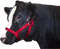 koyes cow halter: adjustable, heavy duty nylon, one size - ultimate product for secure and comfortable cow handling logo