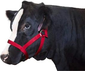 img 1 attached to Koyes Cow Halter: Adjustable, Heavy Duty Nylon, One Size - Ultimate Product for Secure and Comfortable Cow Handling