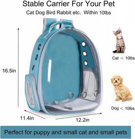 img 3 attached to 🐱 COFOETLN Cat Backpack Carrier Bubble – Airline-Approved, Transparent Capsule Backpack for Cats and Puppies – Ideal for Travel, Walking, Hiking, Outdoor Use