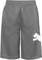 🩳 puma stripe short shorts: high-quality large boys' clothing and shorts logo