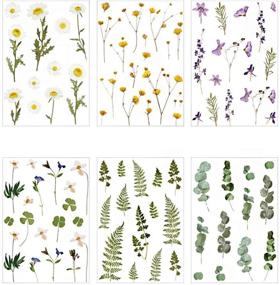 img 4 attached to 🌺 JOMOYEEH набор наклеек из ПЭТ для высечки - растения и цветы: 6 листов для творчества, дневников и рукоделия (4.13 x 5.9 дюйма)