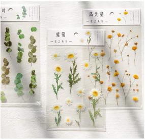 img 2 attached to 🌺 JOMOYEEH набор наклеек из ПЭТ для высечки - растения и цветы: 6 листов для творчества, дневников и рукоделия (4.13 x 5.9 дюйма)