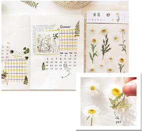 img 1 attached to 🌺 JOMOYEEH Die-Cutting PET Stickers - Plant Flower Series Pack: 6 Sheets for DIY Scrapbooking, Journaling, and Crafting (4.13 x 5.9 in)