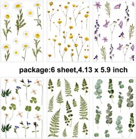 img 3 attached to 🌺 JOMOYEEH набор наклеек из ПЭТ для высечки - растения и цветы: 6 листов для творчества, дневников и рукоделия (4.13 x 5.9 дюйма)
