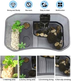 img 2 attached to 🐢 Binano Pet Turtle Tanks: Non-Toxic, Durable Aquarium for Turtles and Reptiles